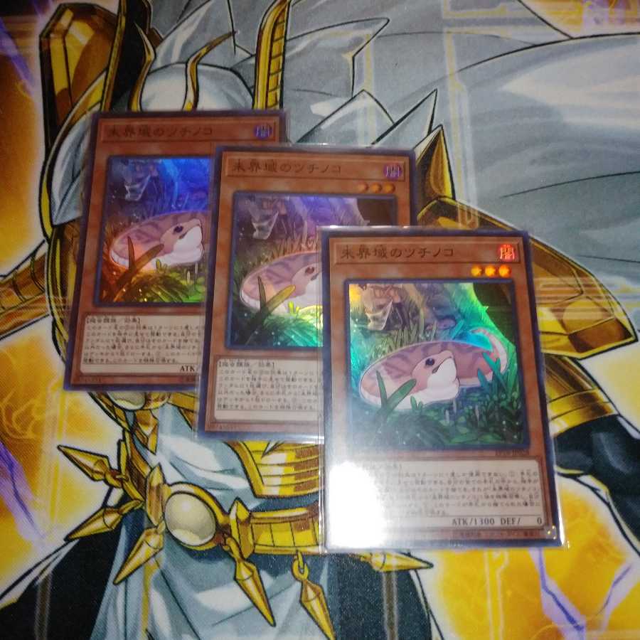 未界域のツチノコ 3枚