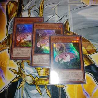 未界域のツチノコ 3枚