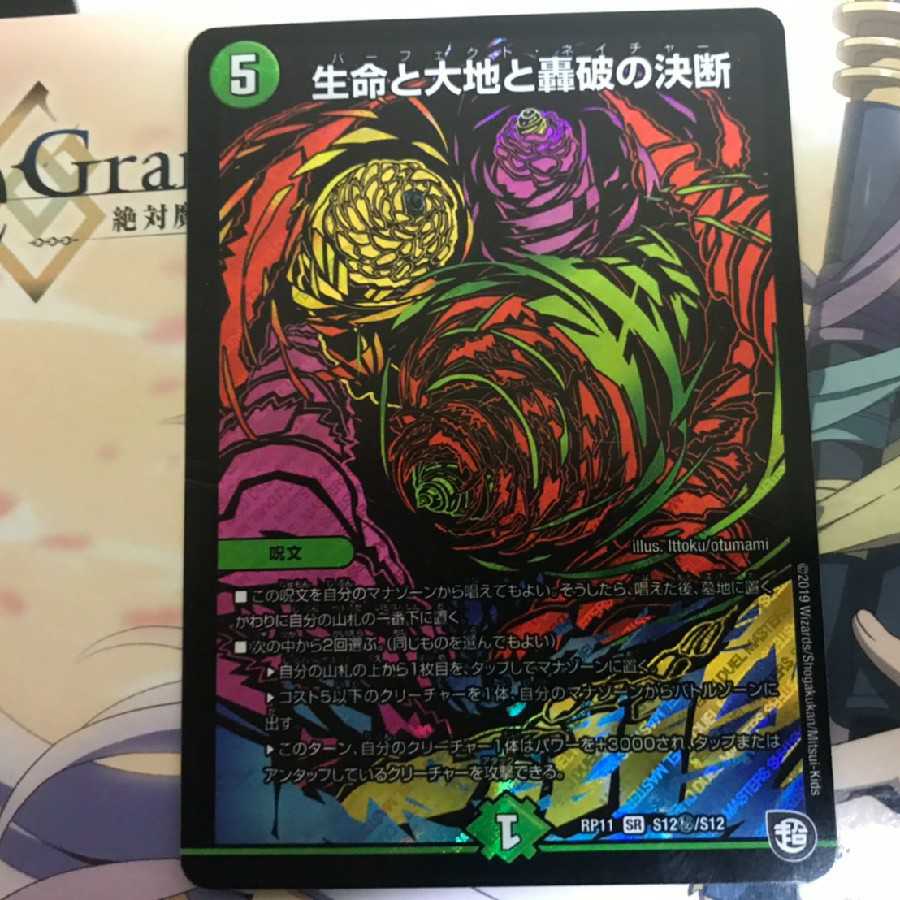 生命と大地と轟破の決断 シク