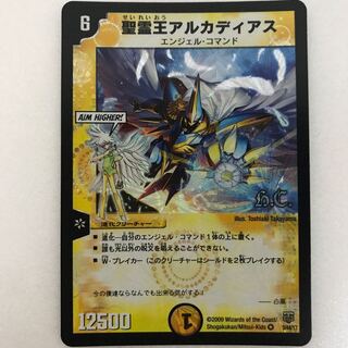 聖霊王アルカディアス VR