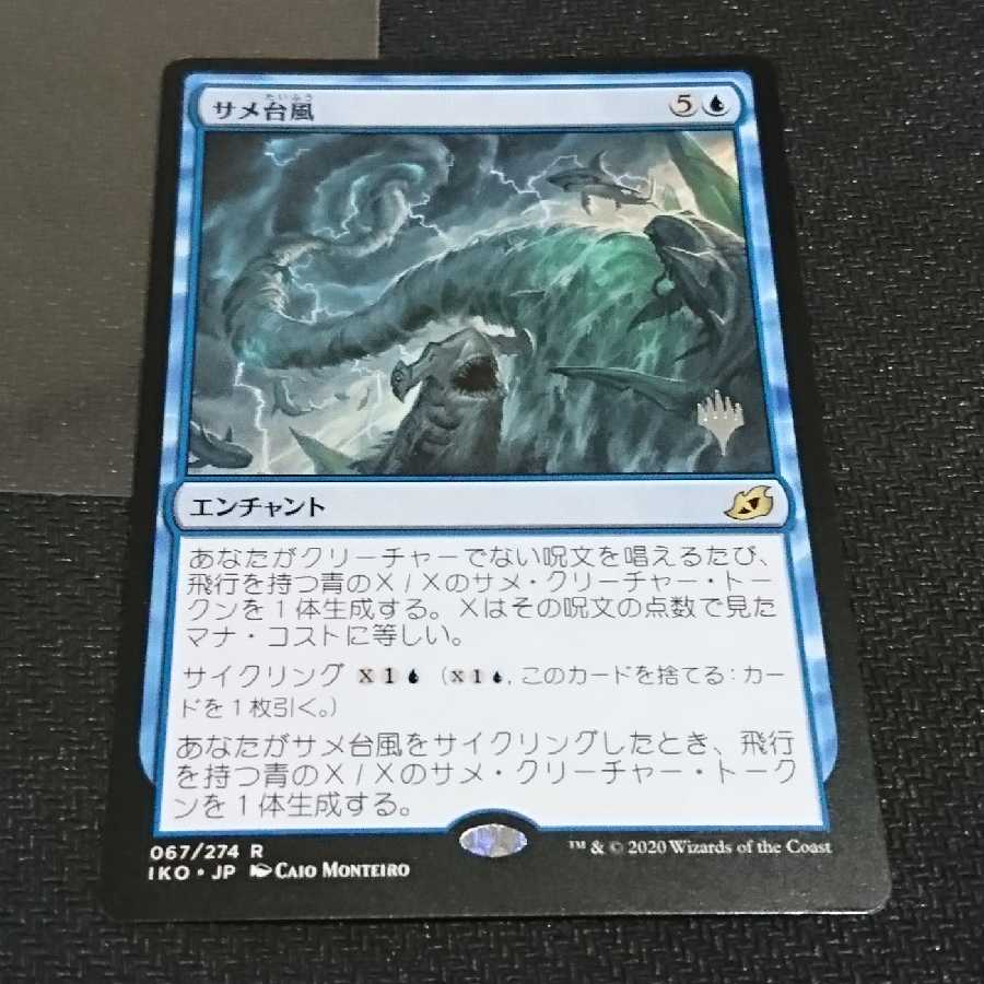 サメ台風 プロモ版