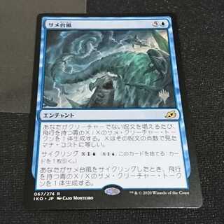 サメ台風 プロモ版