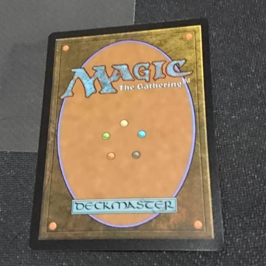 サメ台風 プロモ版