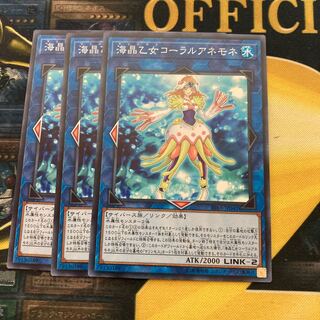 マドレース1877海晶乙女コーラルアネモネ ノーマル