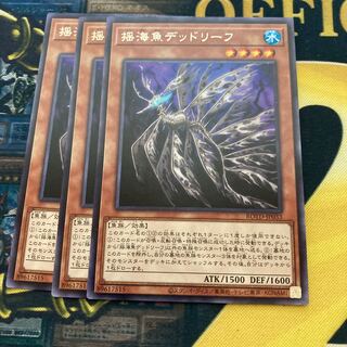 マドレース1886揺海魚デッドリーフ レア