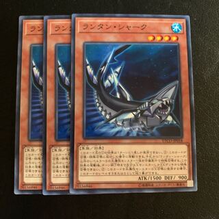 ランタン・シャーク ノーマル