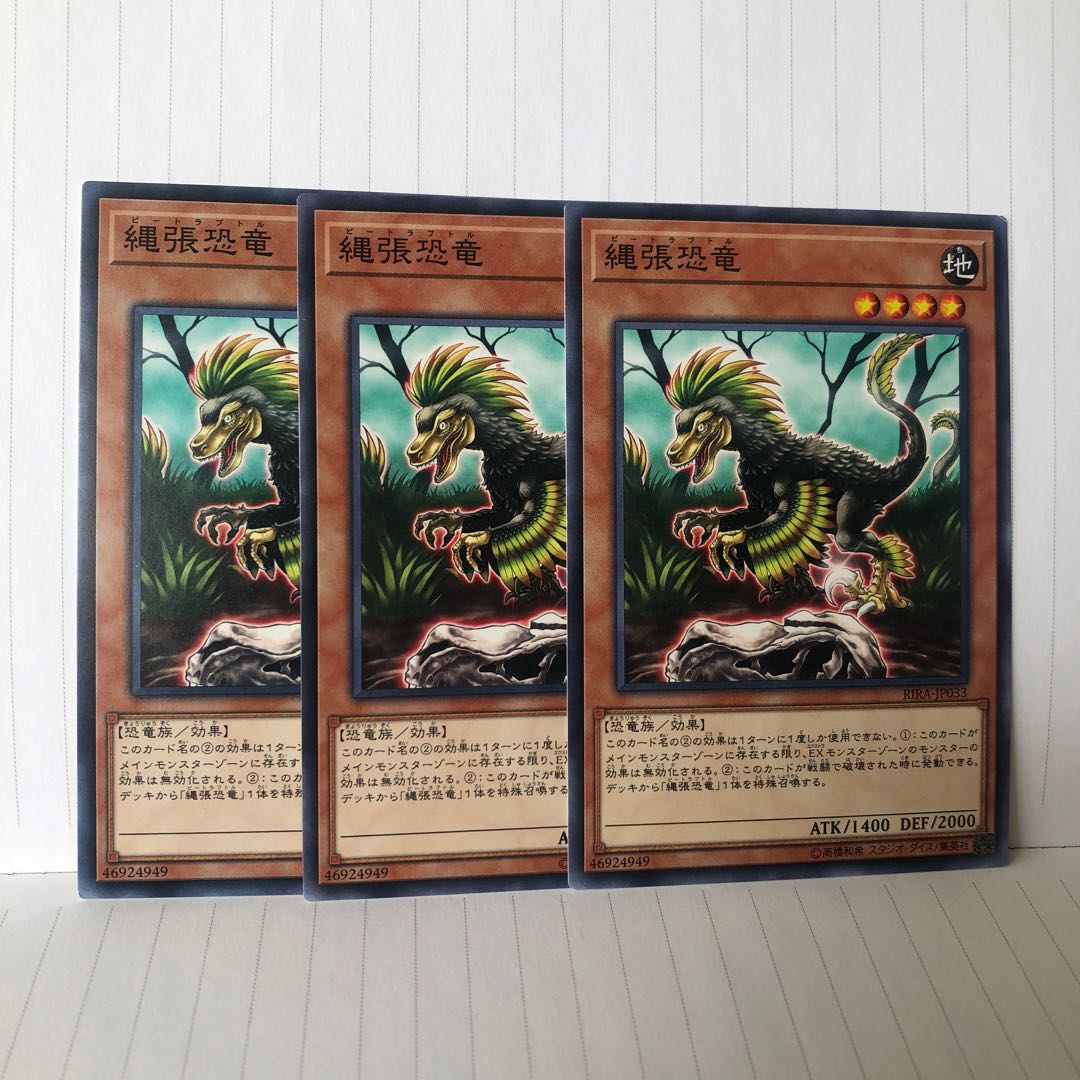 縄張恐竜 ノーマル　3枚　マホ子　