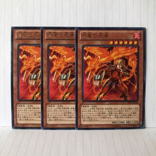 赤竜の忍者 レア　3枚　マホ子