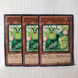 ナチュル・ビーンズ ノーマル　3枚　マホ子