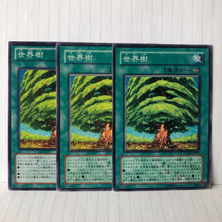 世界樹 ノーマル　3枚　マホ子