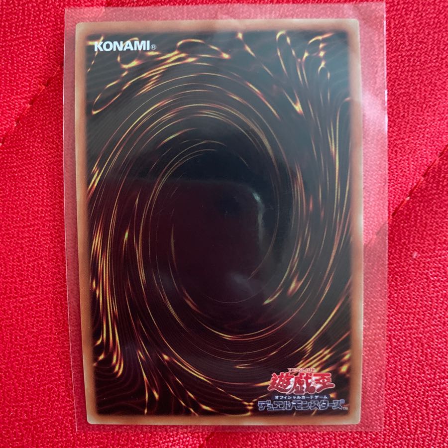 混沌の戦士カオスソルジャー