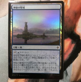 MTG 神秘の聖域 foil