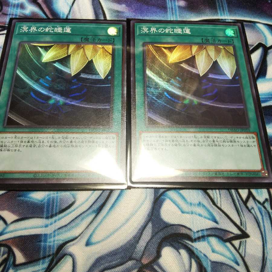 溟界の蛇睡蓮　2枚セット