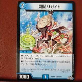 old6778 set discount Shelled Ligaites