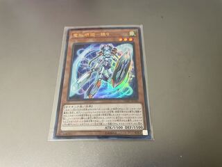 電脳堺姫　娘々