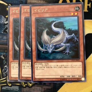 マドレース1915イピリア レア