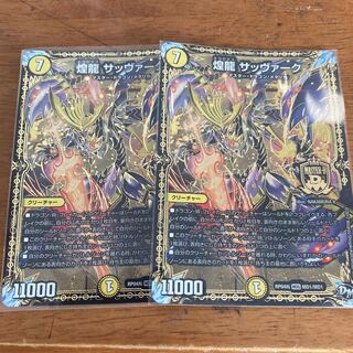 煌龍 サッヴァーク 2枚