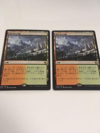 樹木茂る山麓　２枚