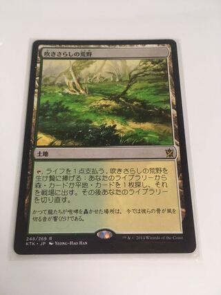 吹きさらしの荒野