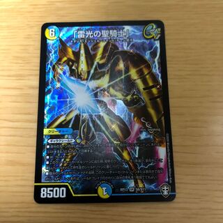 「雷光の聖騎士」