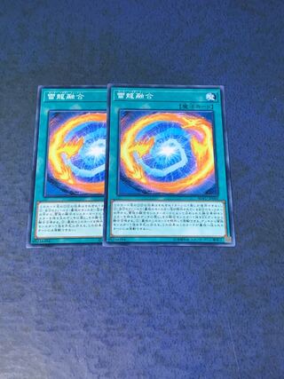 雷龍融合 ノーマル