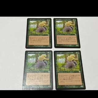 MTG Hunted Wumpus JP4 sheets Model No. Ah-2161