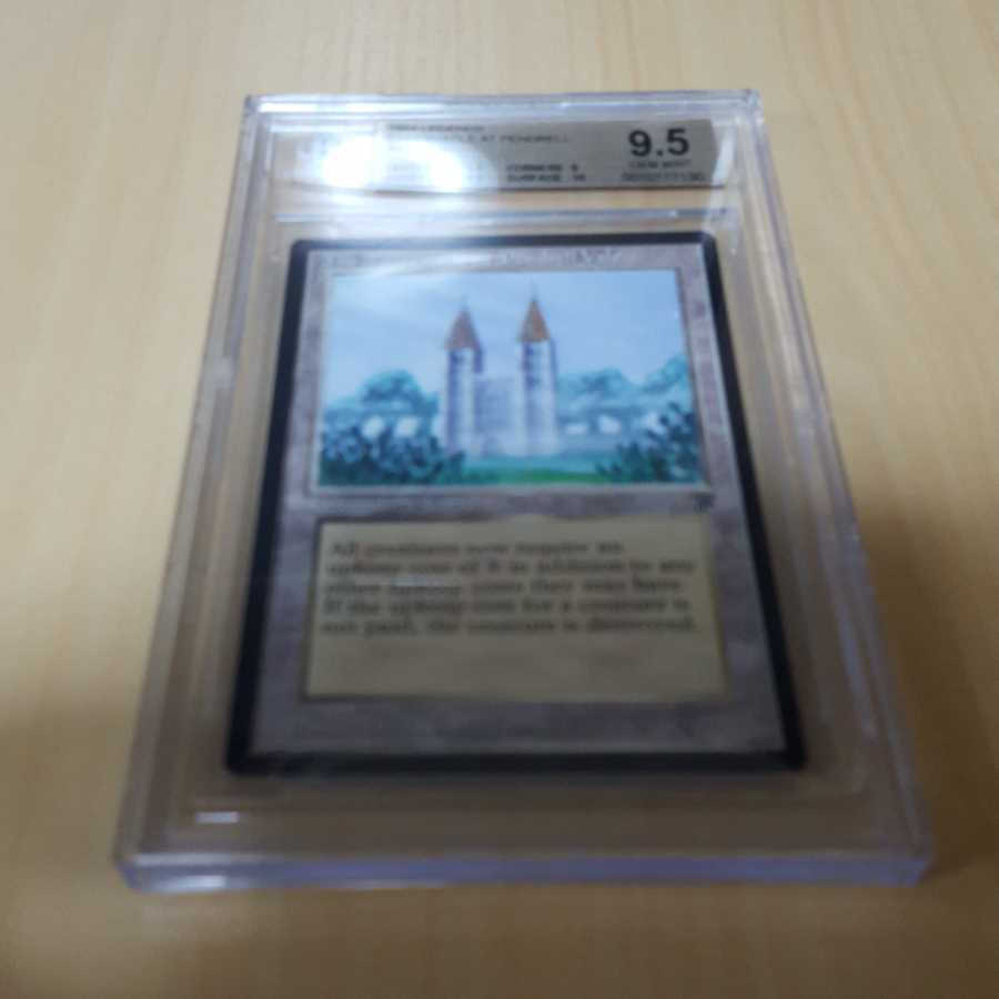 専用The Tabernacle at Pendrell Vale BGS9.5