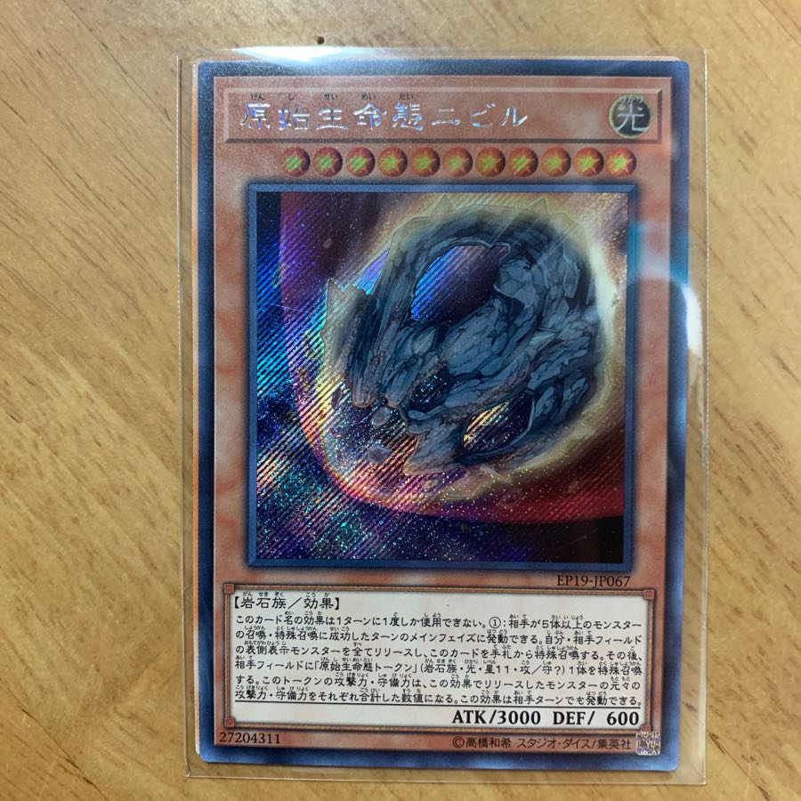 原始生命態二ビル　シク