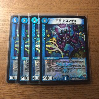 タコンチュ     4枚 4枚