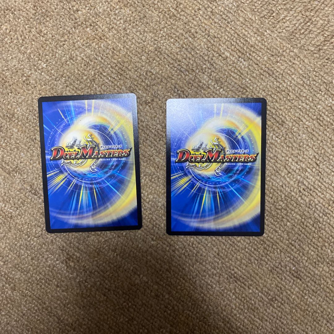 伝説演者カメヲロォル2枚セット