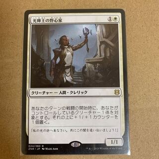 光輝王の野心家