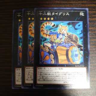十二獣タイグリス ノーマル　3枚セット