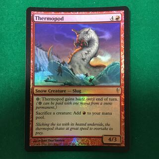 【Foil】熱足ナメクジ（CSP EN）