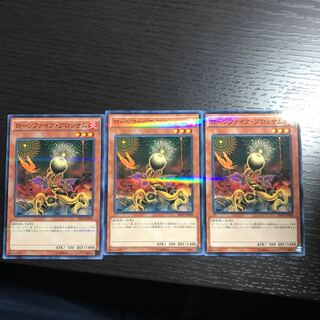 ローンファイア・ブロッサム