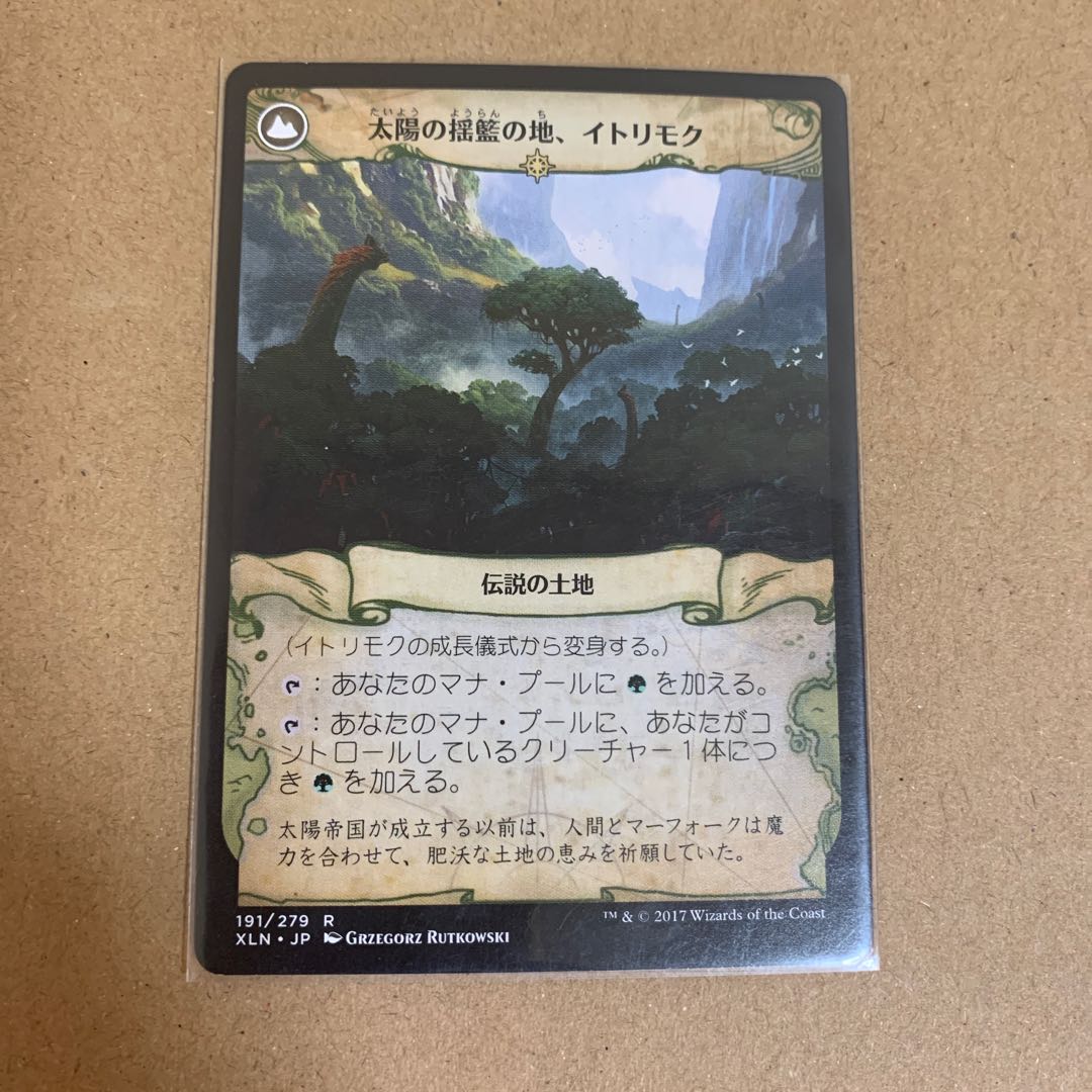 イトリモクの成長儀式