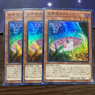 専用　未界域のツチノコ+ジャッカロープ2枚