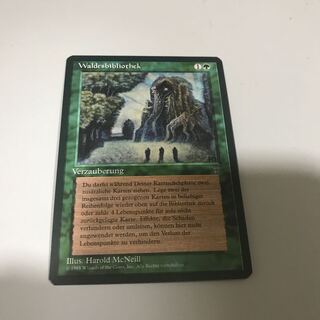 森の知恵 レジェンド イタリア語