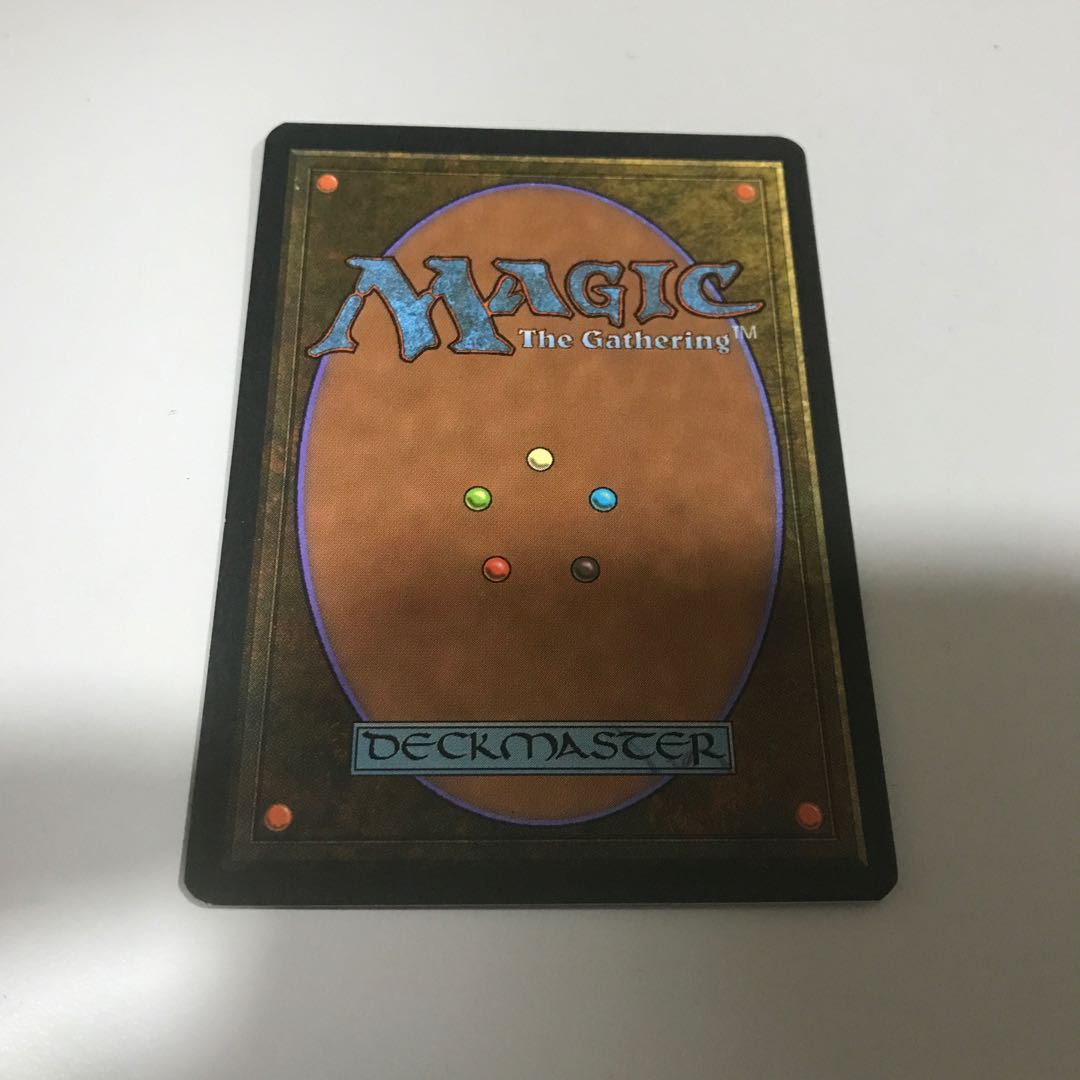 森の知恵 レジェンド イタリア語