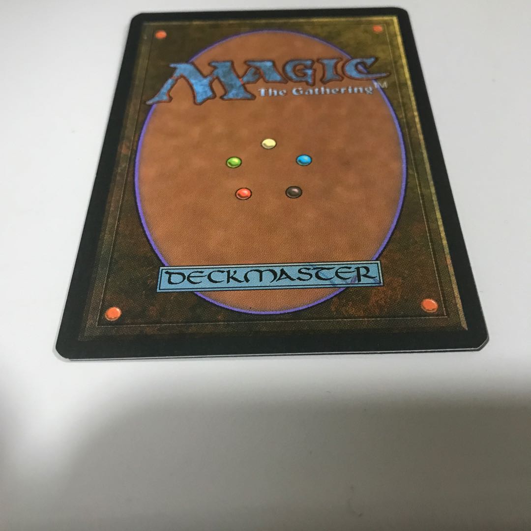 森の知恵 レジェンド イタリア語