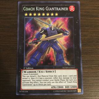 Coach King Giantrainer