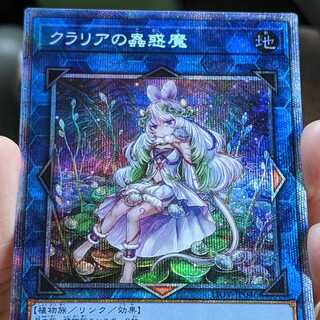 ベアルクティ　ポラリイ　SR