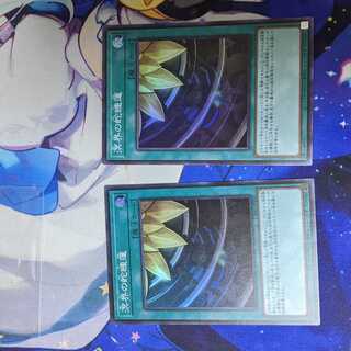 溟界の蛇睡蓮　2枚