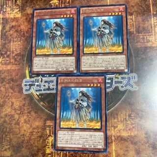 遊戯王★不知火の隠者★レア三枚★