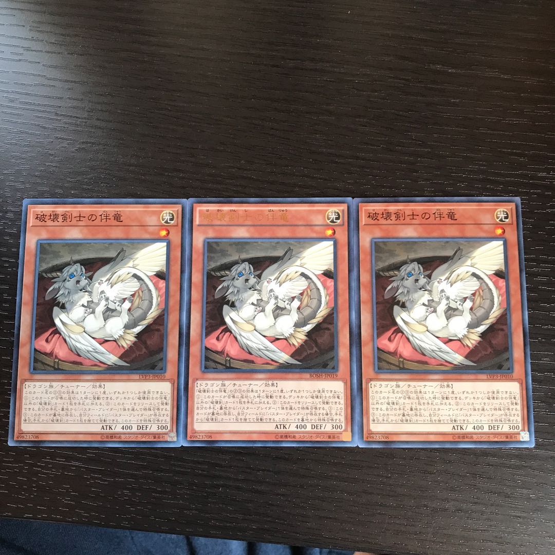 破壊剣士の伴竜