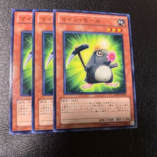 マイン・モール ノーマル