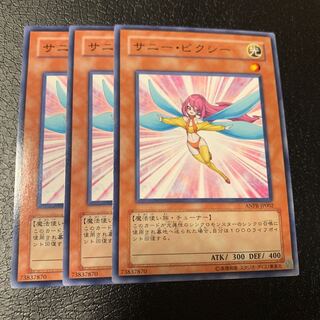 サニー・ピクシー ノーマル