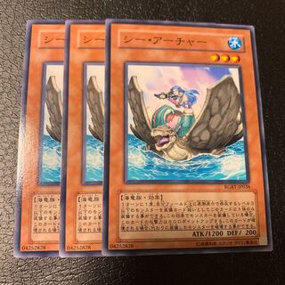 シー・アーチャー ノーマル