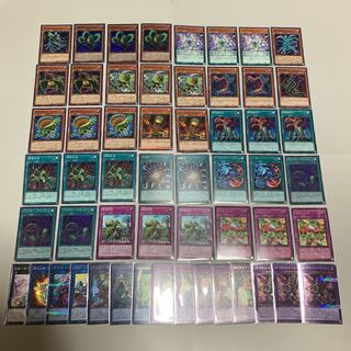 遊戯王 捕食植物 デッキ