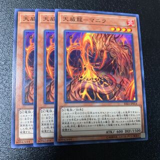 天威龍-マニラ ノーマル