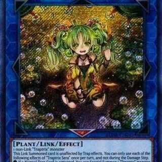 Wanted: Looking for North American and EU versions (orders accepted)